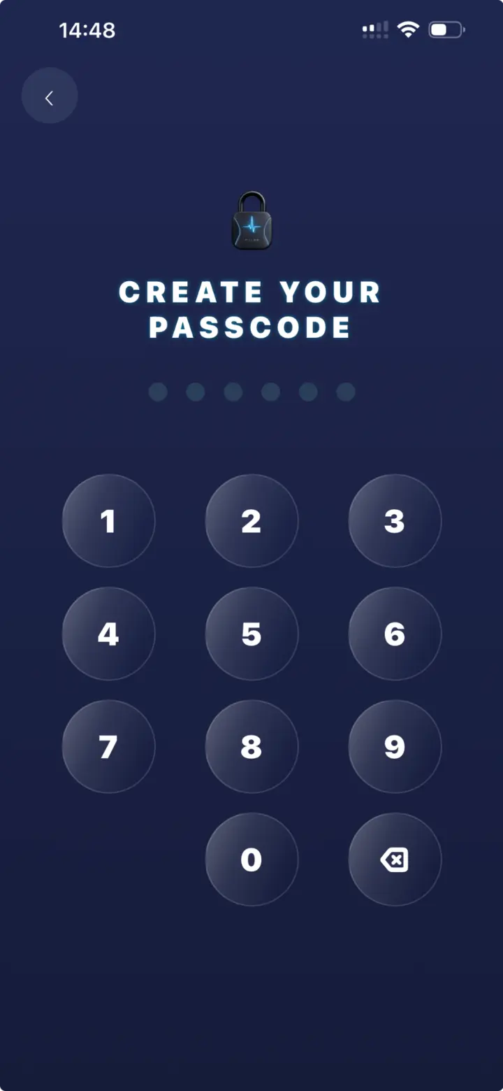 PULSE wallet passcode creation screen